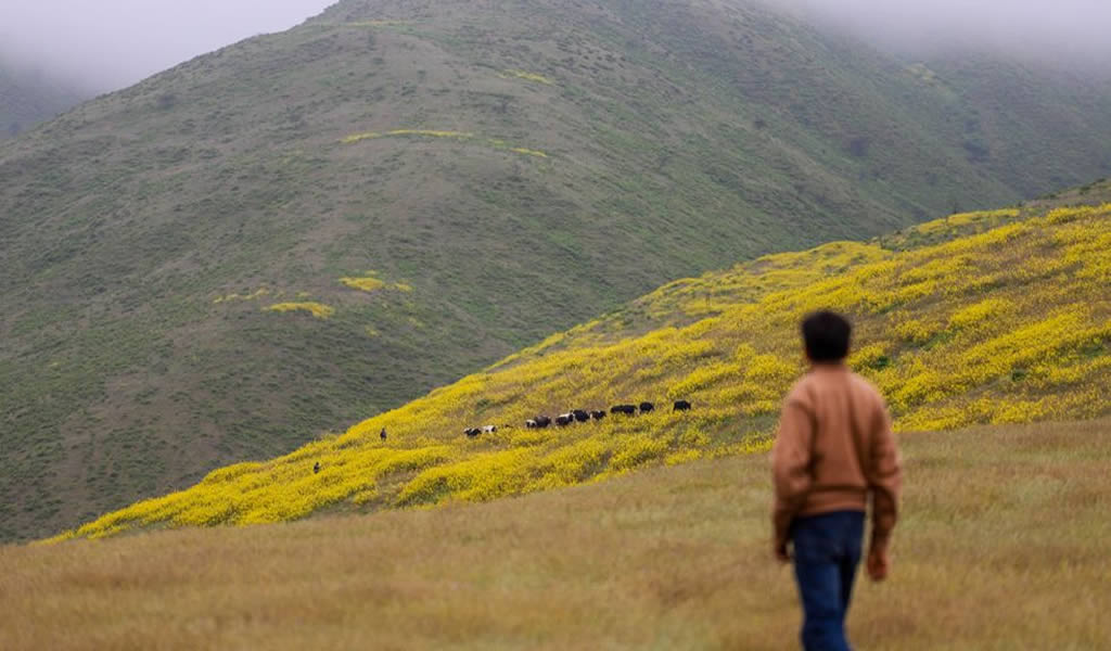 Tía María: Southern Perú y GRA en incertidumbre por Pampas de Cachendo