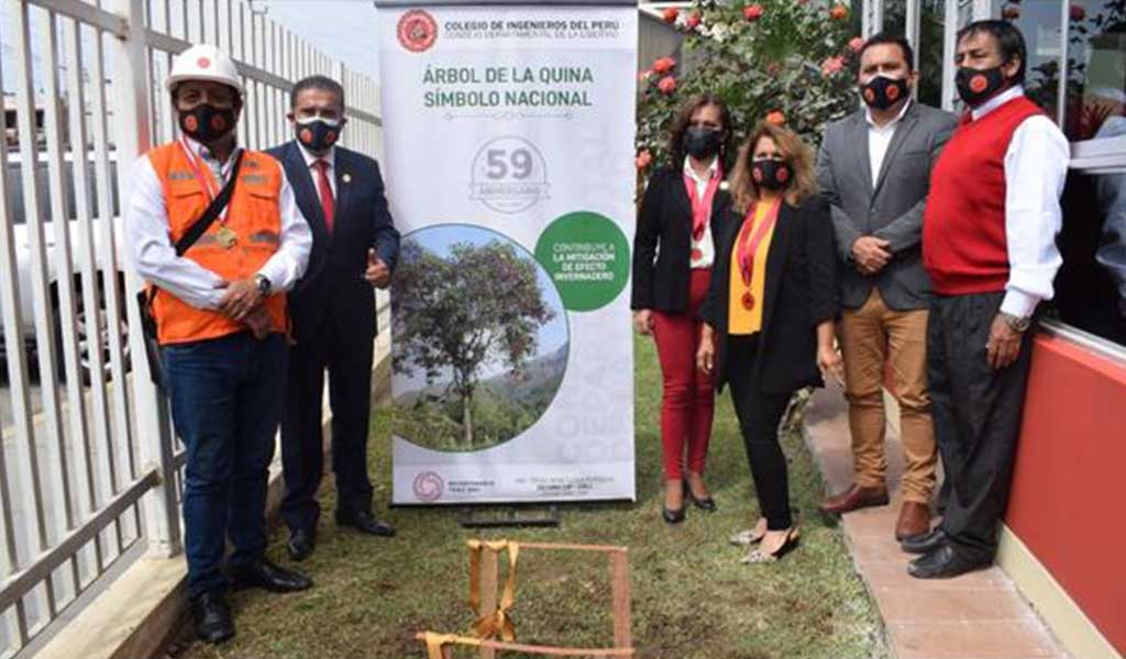 Plantan árbol de la quina por el “Día del Ingeniero Peruano” en La Libertad