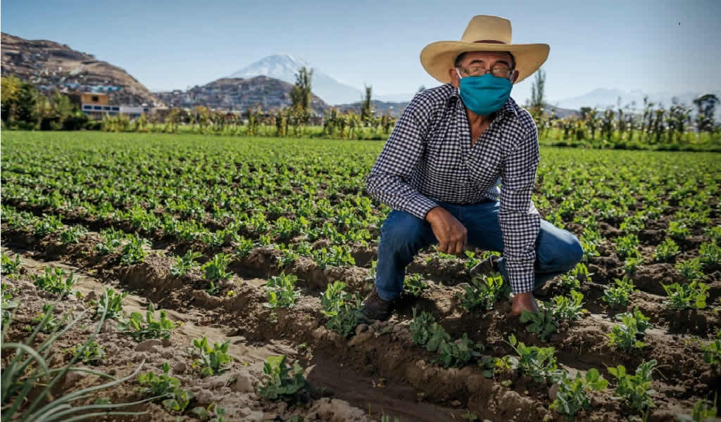 Cerro Verde ha fortalecido la promoción de la agroexportación