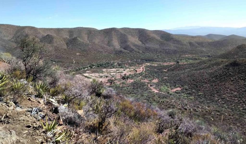 Minera Alamos comparte una TIR del 111% para el proyecto de oro Cerro de Oro en México