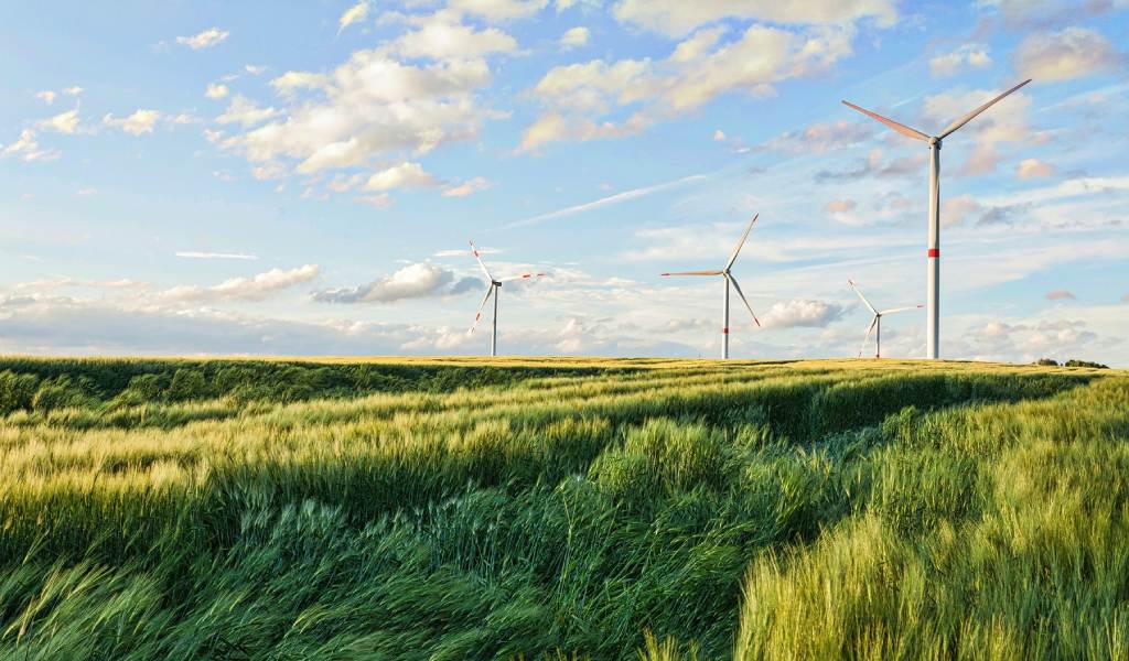 Reducir la huella de carbono: factor clave para lograr una minería sostenible